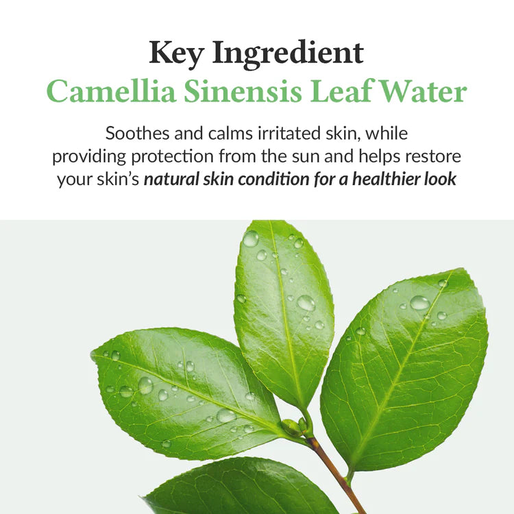 Dr Althea Green Sunscreen